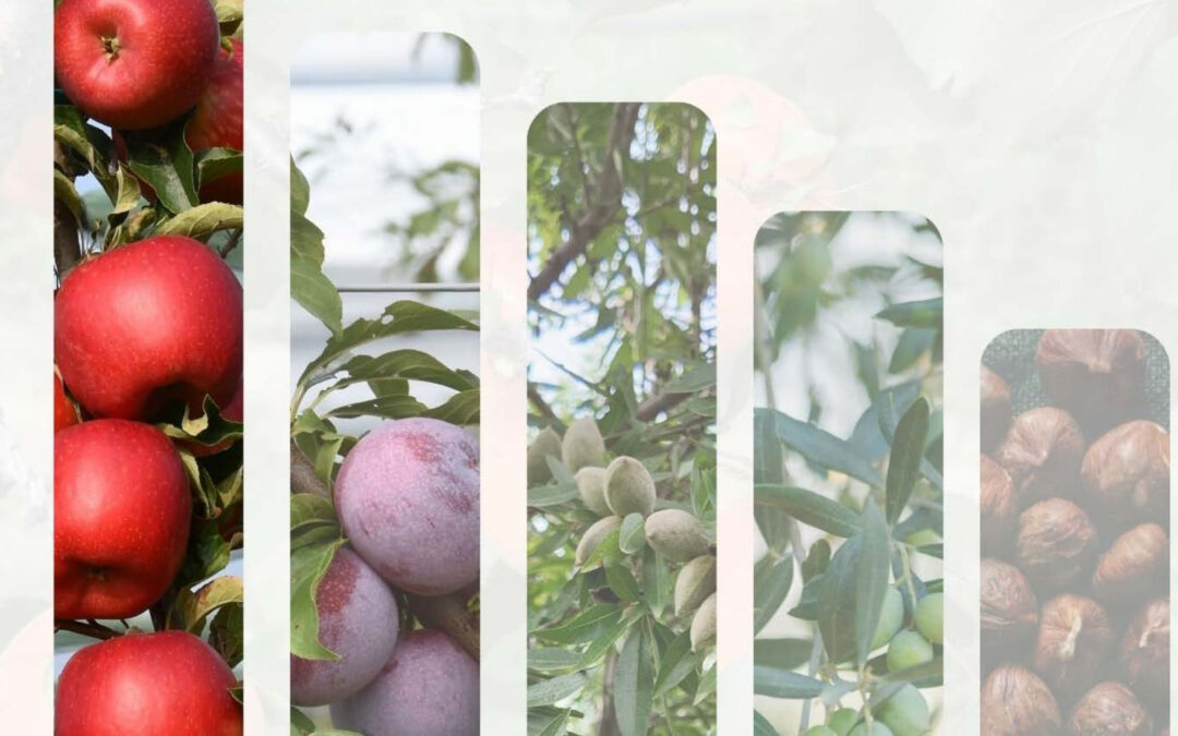 Pubblicato il Manuale tecnico per nuove Cultivar, una guida strategica per l’innovazione agricola nell’Alto Monferrato