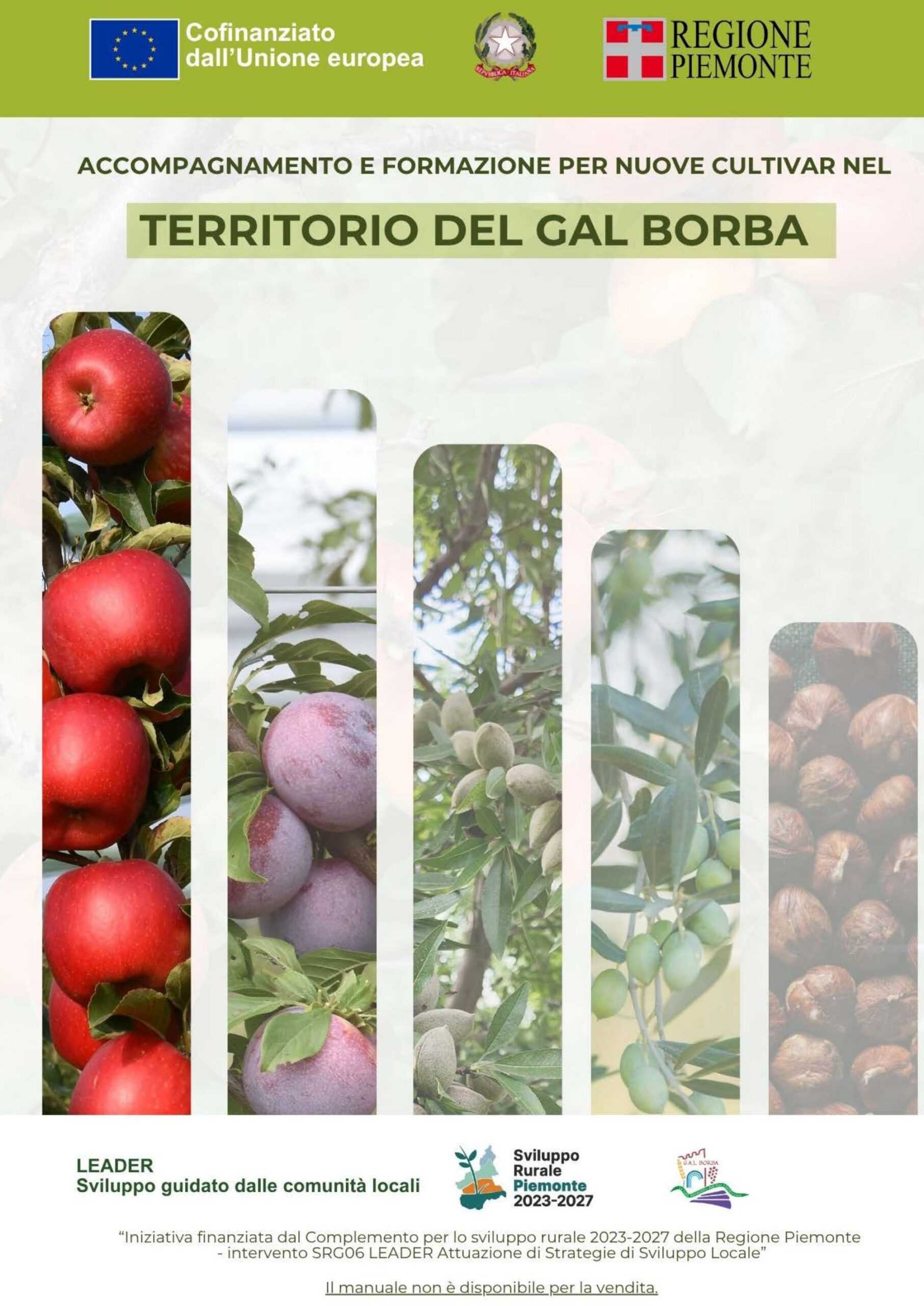 Pubblicato il Manuale tecnico per nuove Cultivar, una guida strategica per l’innovazione agricola nell’Alto Monferrato